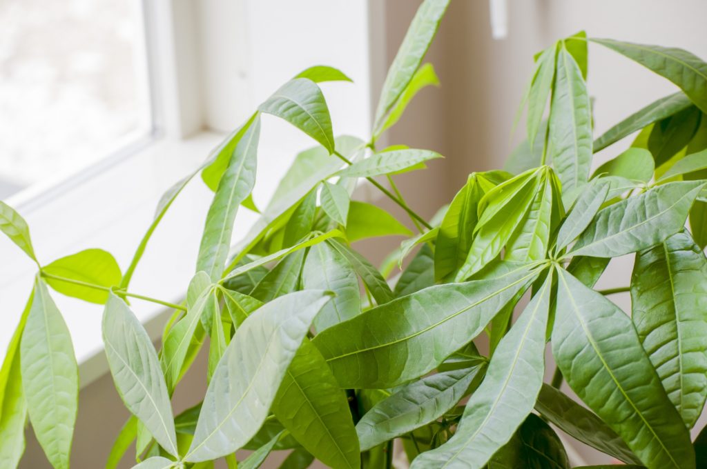 よくある質問Q&A