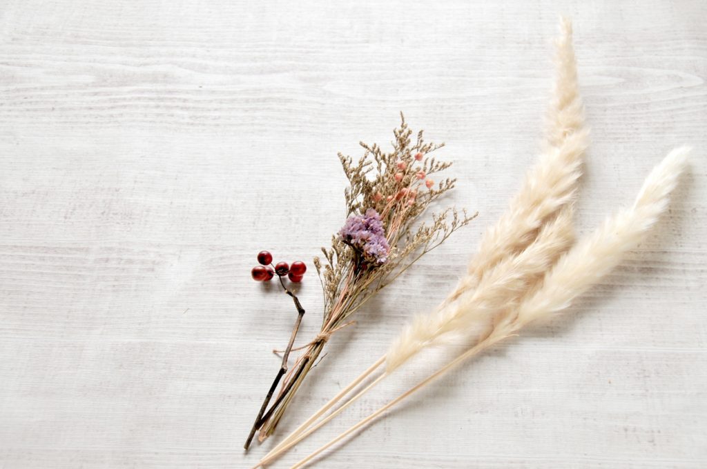 パンパスグラスの病気と害虫の予防対策