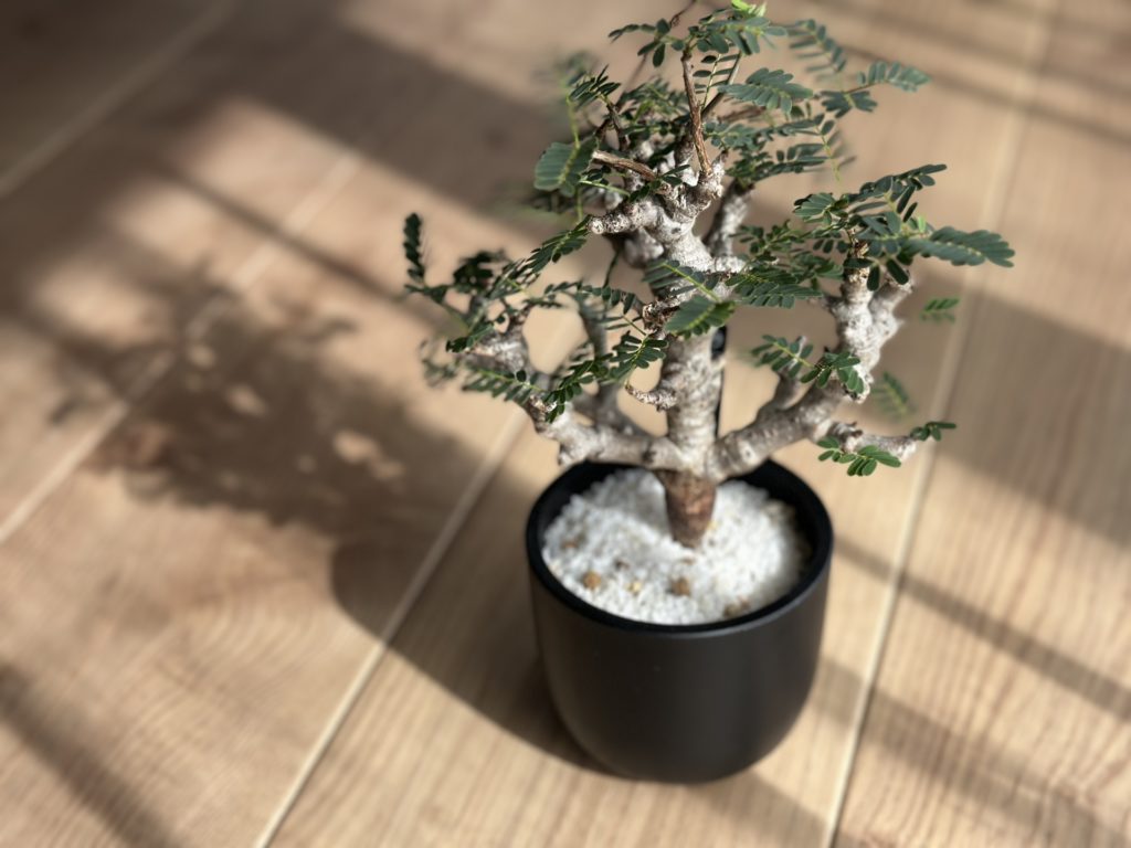 まとめ｜防寒対策は「最後の保険」