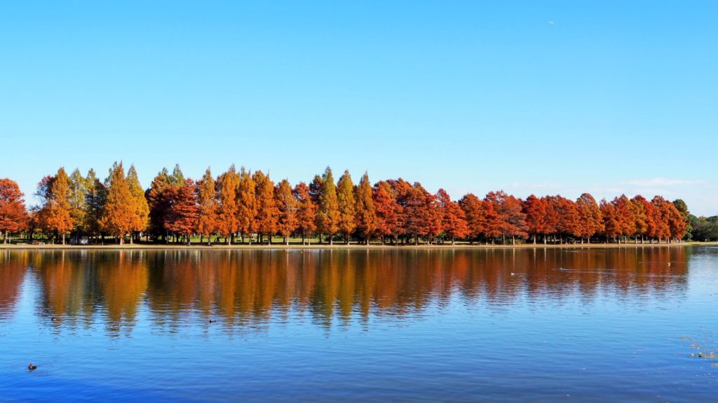 秋の切り替え｜超要約ルール
