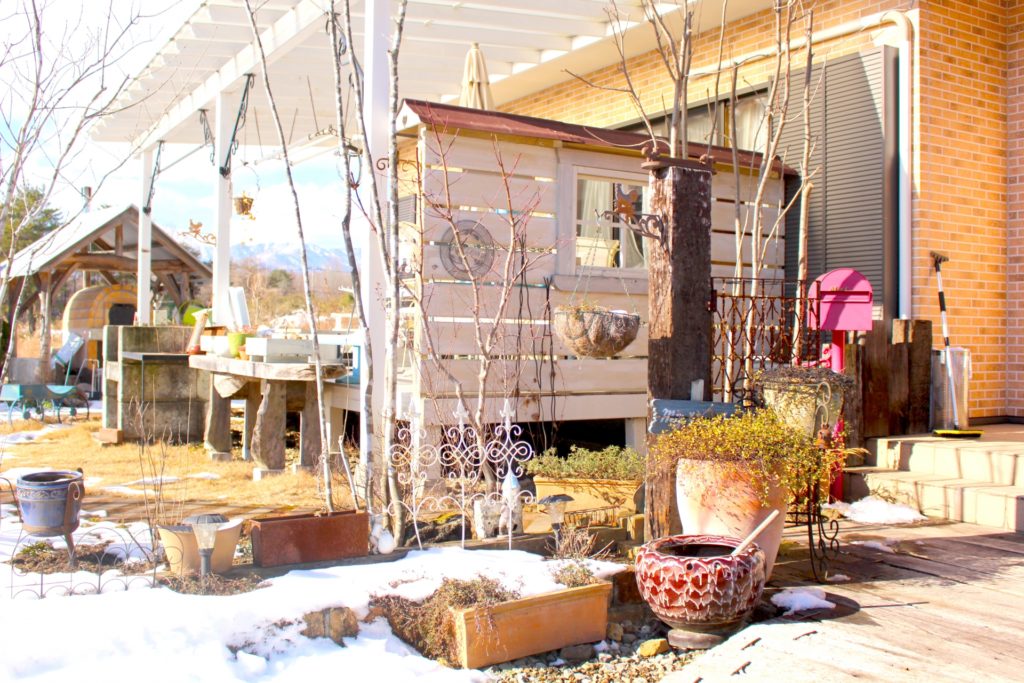 冬越し対策③ 鉢植えは「置き場所」がすべて